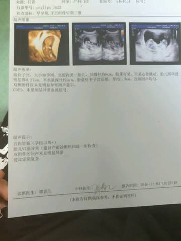 journal_insert_pic_602272727