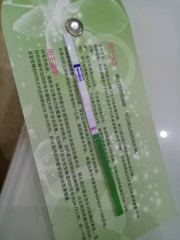 journal_insert_pic_602431537