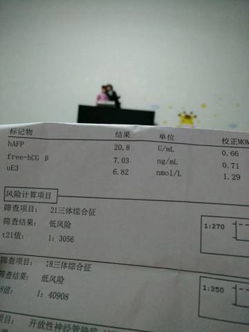 journal_insert_pic_602502496