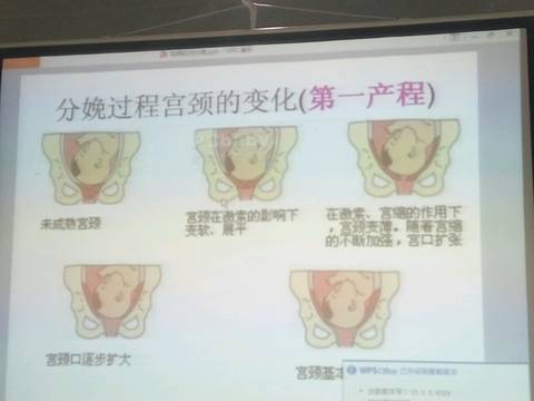 journal_insert_pic_602743423
