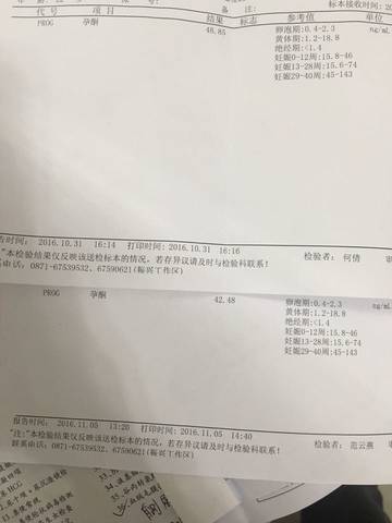 journal_insert_pic_603567914