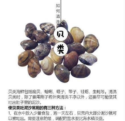 journal_insert_pic_603954238