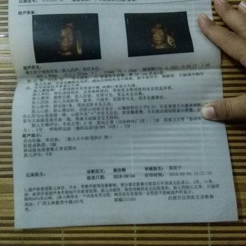 journal_insert_pic_604120807
