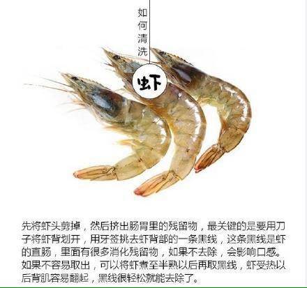 journal_insert_pic_603954247