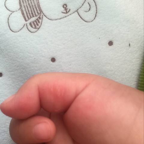 journal_insert_pic_604551410