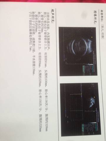 journal_insert_pic_605328231