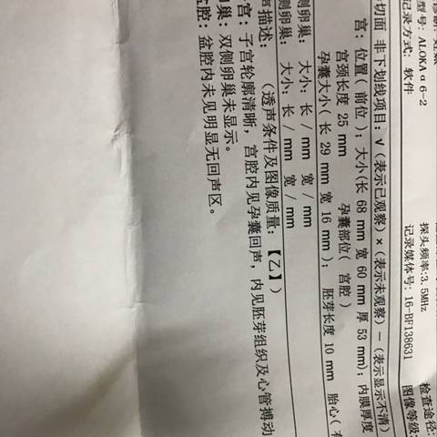 journal_insert_pic_606066238