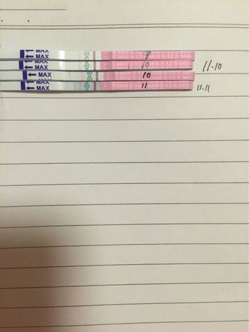 journal_insert_pic_606984667