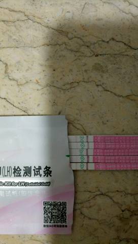 journal_insert_pic_607043310