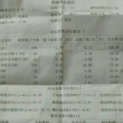 宝宝树