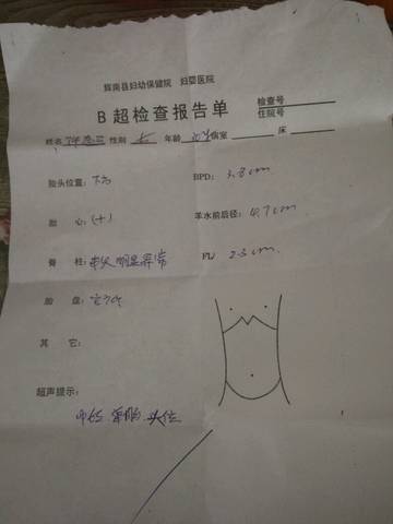 journal_insert_pic_608512527