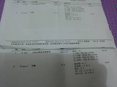 journal_insert_pic_608739703