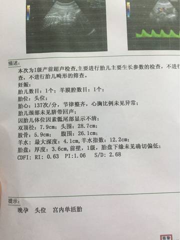 journal_insert_pic_608548166