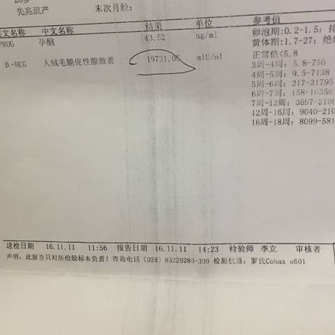 journal_insert_pic_608781358