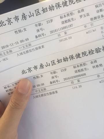 journal_insert_pic_609188452
