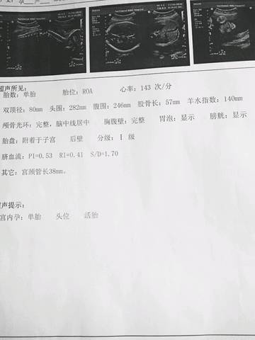 journal_insert_pic_609742053