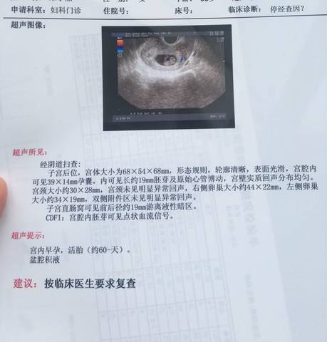 journal_insert_pic_610216821