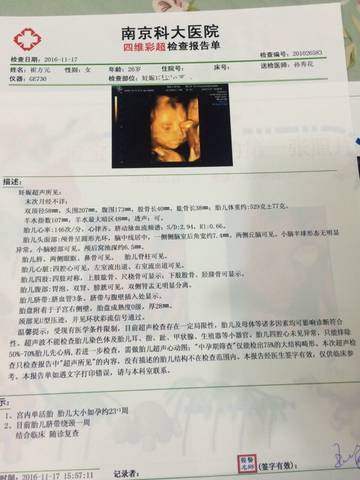 journal_insert_pic_610488120