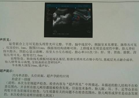journal_insert_pic_610532726