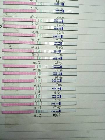 journal_insert_pic_611030370