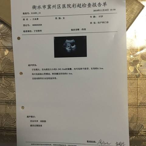 journal_insert_pic_611097235