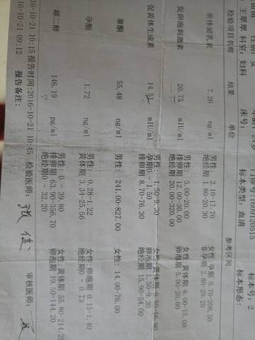 journal_insert_pic_610889661