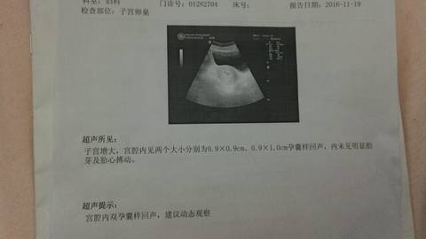 journal_insert_pic_611738560