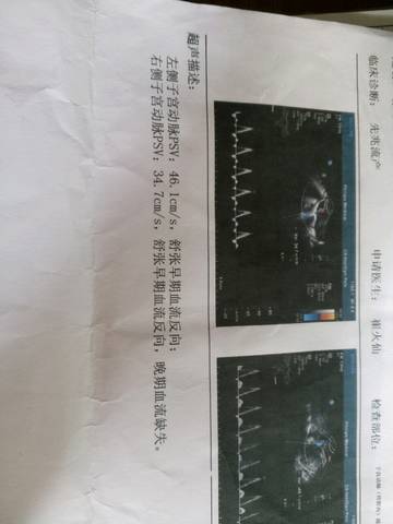 journal_insert_pic_611663311