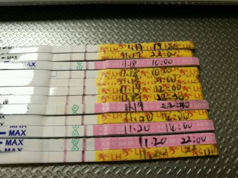 journal_insert_pic_612353040