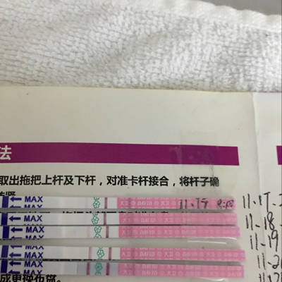 journal_insert_pic_612464606
