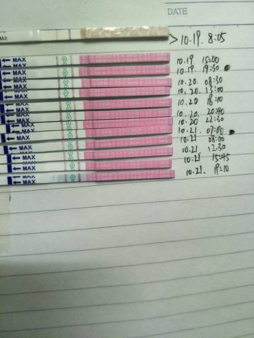 journal_insert_pic_612809868