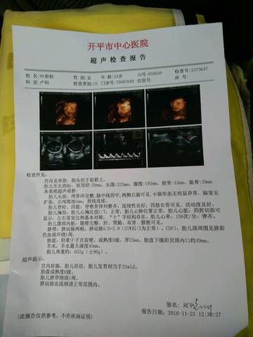 journal_insert_pic_613131659