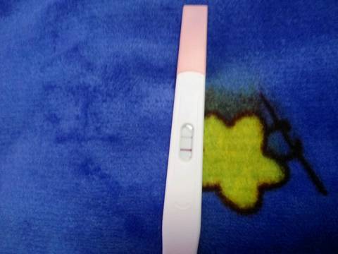 journal_insert_pic_613629605