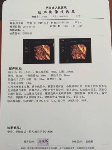 journal_insert_pic_614065068