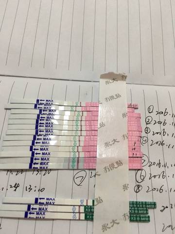 journal_insert_pic_614768838