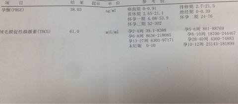 journal_insert_pic_614708207