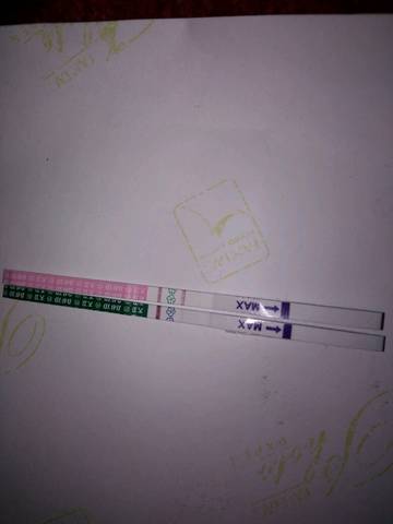 journal_insert_pic_614785533