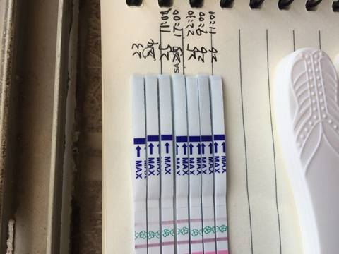 journal_insert_pic_615245317