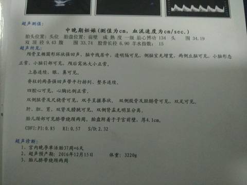 journal_insert_pic_617127893