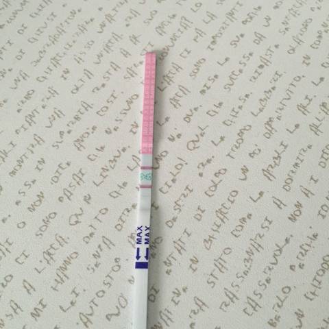 journal_insert_pic_617239651