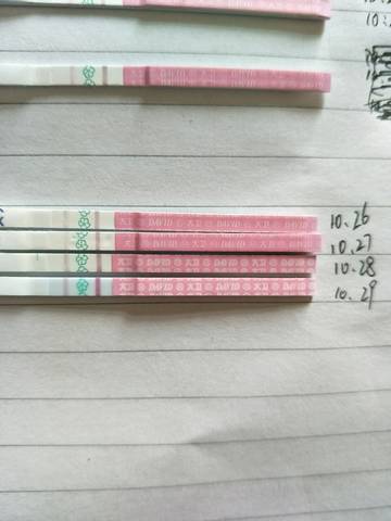 journal_insert_pic_617051330