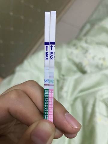 11月号排卵 肚子一直阵痛 宝宝树