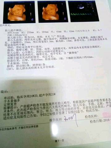 journal_insert_pic_618245552