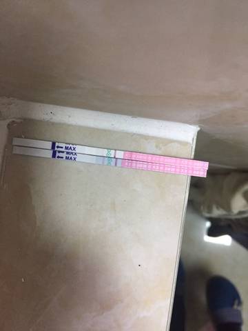 journal_insert_pic_618633220