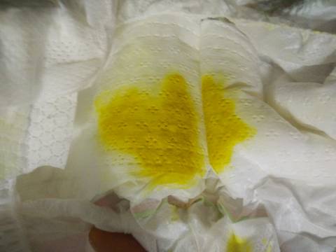 journal_insert_pic_620911112
