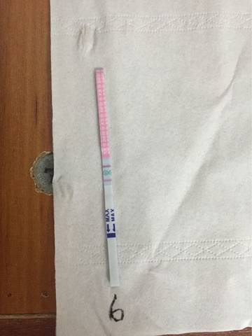 journal_insert_pic_621504532