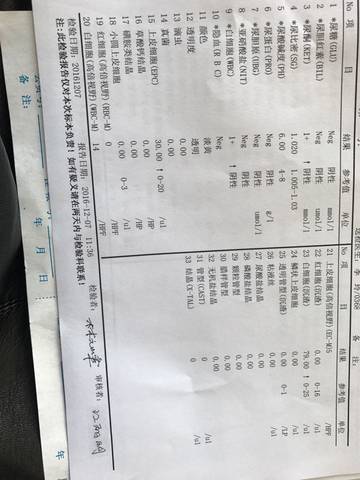 journal_insert_pic_621665149