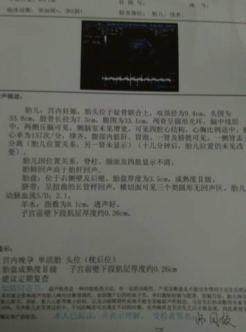 journal_insert_pic_621692578