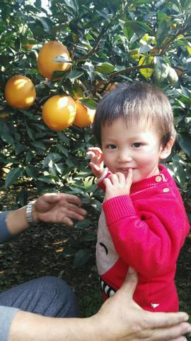 journal_insert_pic_622027277