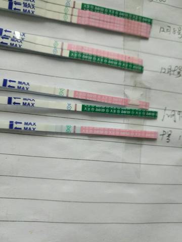 journal_insert_pic_623068802